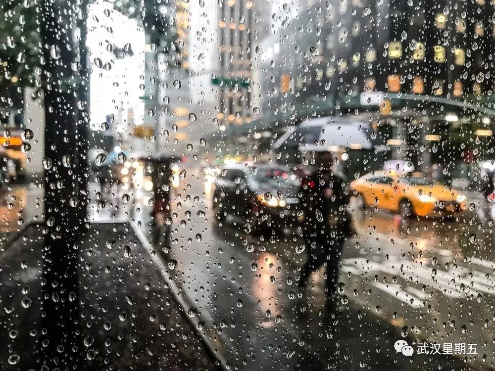 又又又又又又要下雨了，幸好有它们赶走沮丧