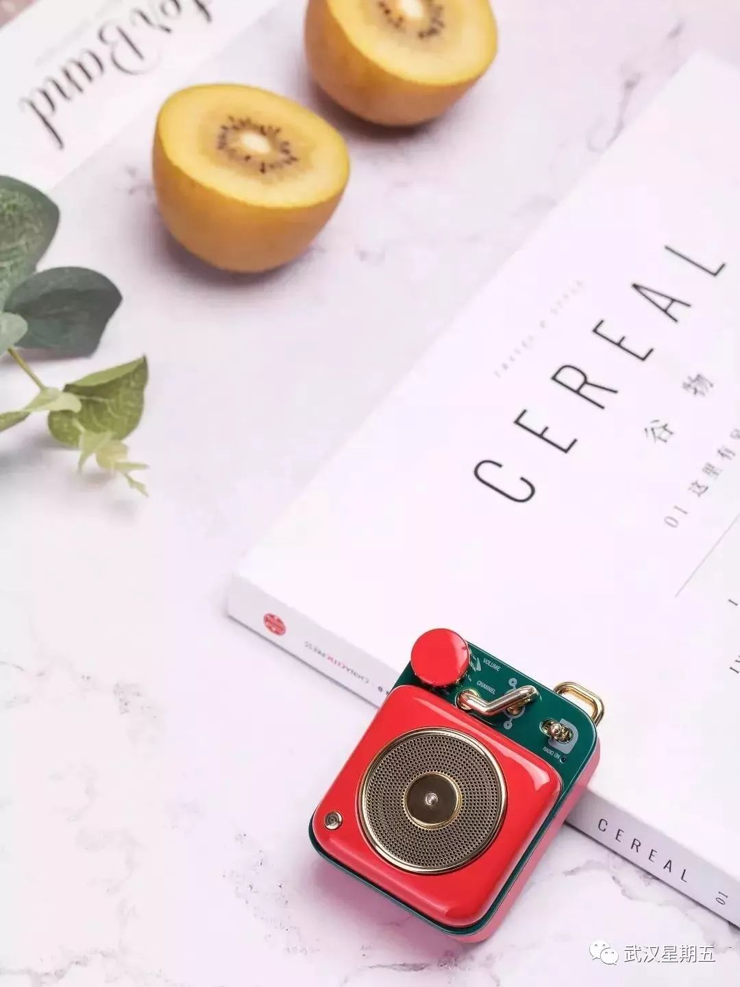 又又又又又又要下雨了，幸好有它们赶走沮丧