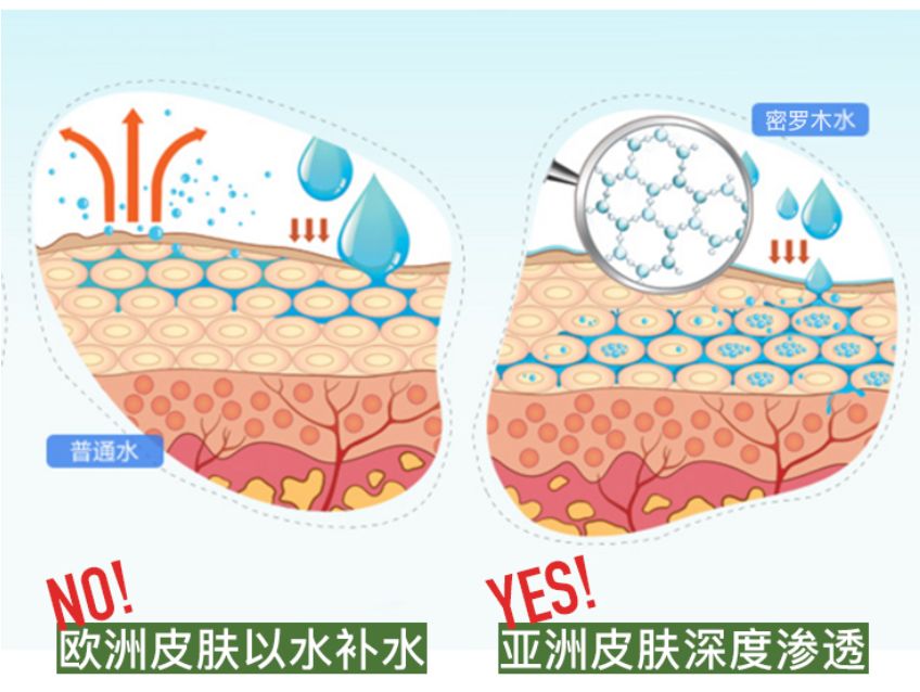 南非春夏复活草保湿水,南非不死草对皮肤的好处