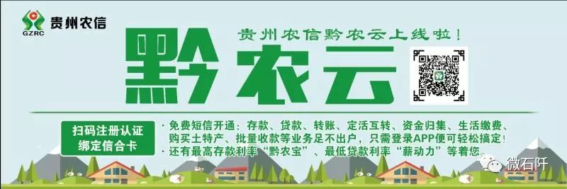 贵州绿茶哪个最好,中国绿茶产区分布图