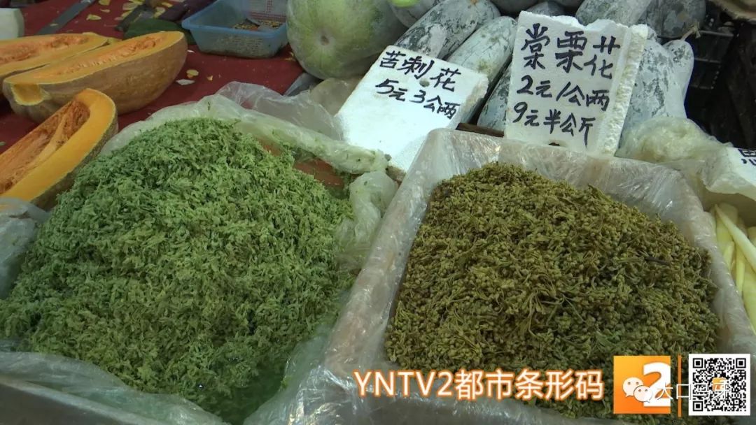 春天吃花要关注！吃错会中毒，头晕恶心呕吐，每年都有人中招