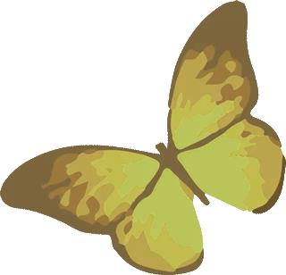 “泰”舒服了！听说，和冬天更配的“宜游之城”就在这儿！温泉水暖、古镇飘香…是时候来场冬季泰州行啦