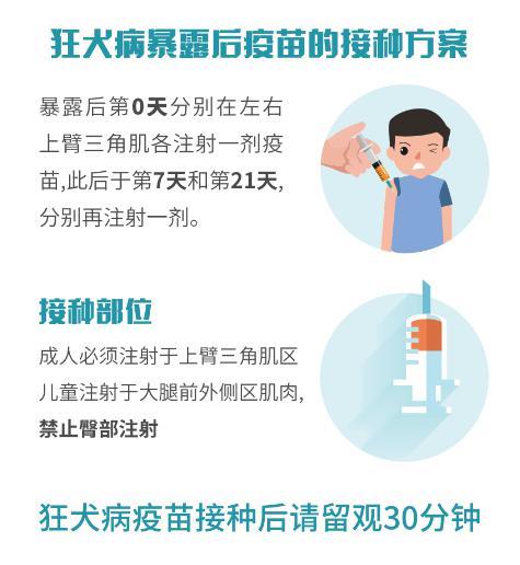9岁被小狗咬破6天了没有打疫苗,狗被乌龟咬要打狂犬疫苗吗