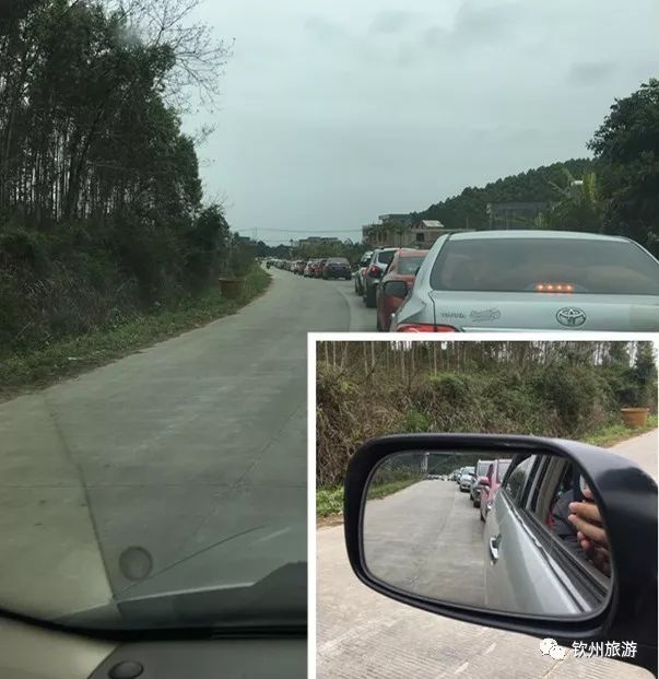 钦州花卉小镇旅游攻略,北部湾花卉小镇最佳观赏时间