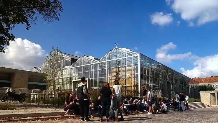 戛纳国际电影节2019,戛纳国际电影节2019年