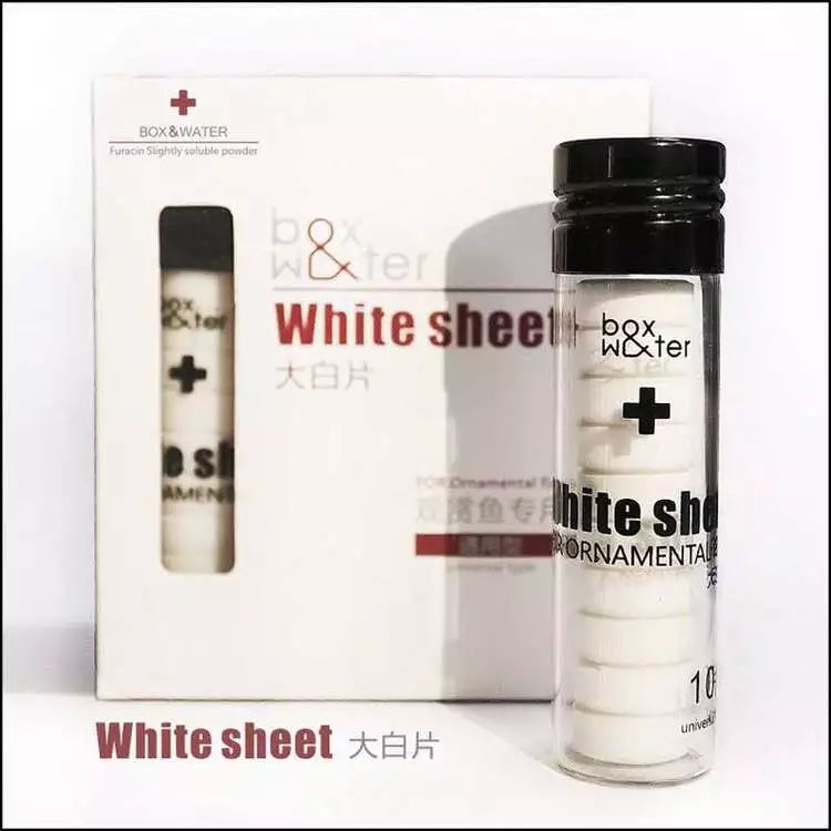 怎么防止鱼得肠炎,解决鱼肠炎的老方法