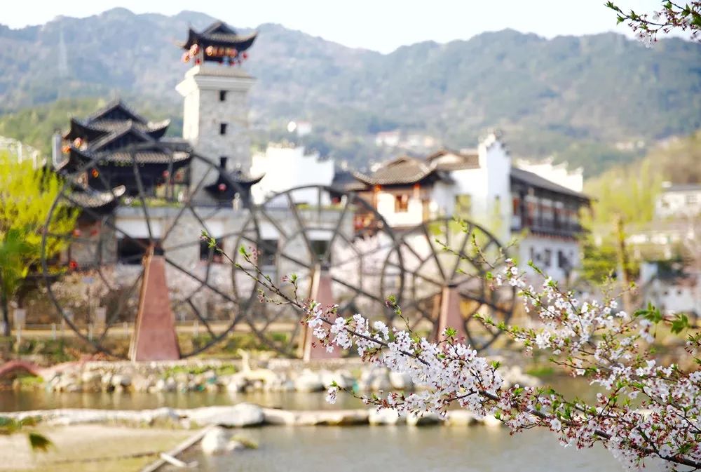 3月终于要放晴啦！出门赏花看剧，这里有攻略