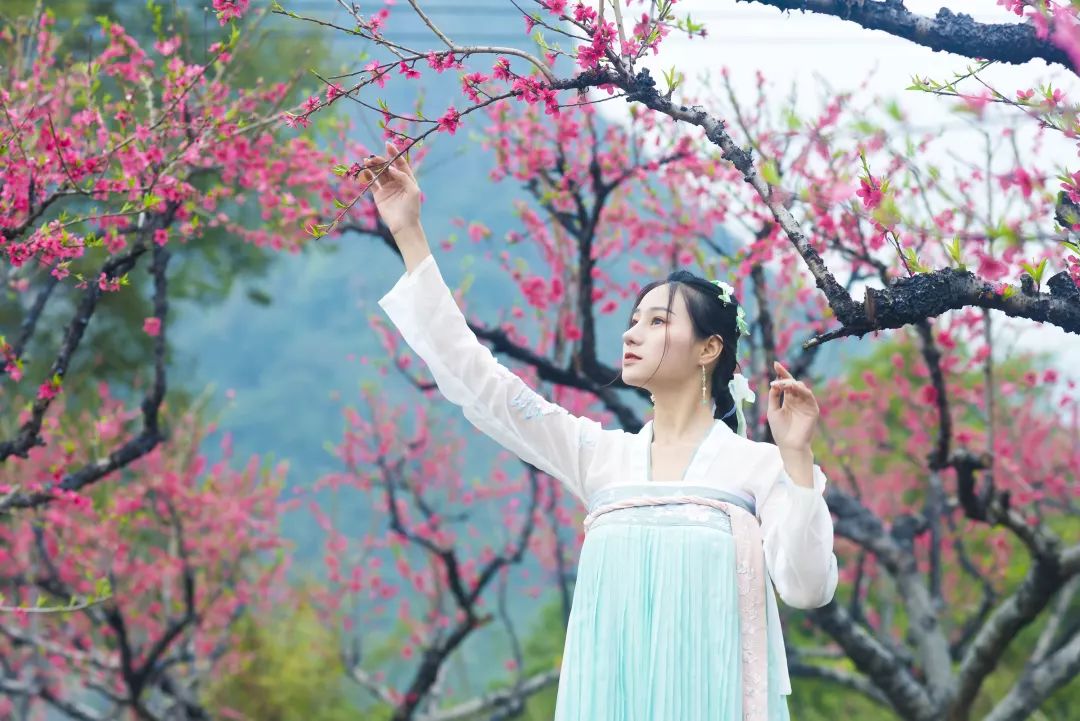 3月终于要放晴啦！出门赏花看剧，这里有攻略