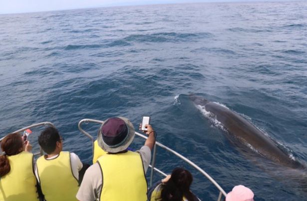 日本东京动物园一日游攻略,日本最值得去的小动物