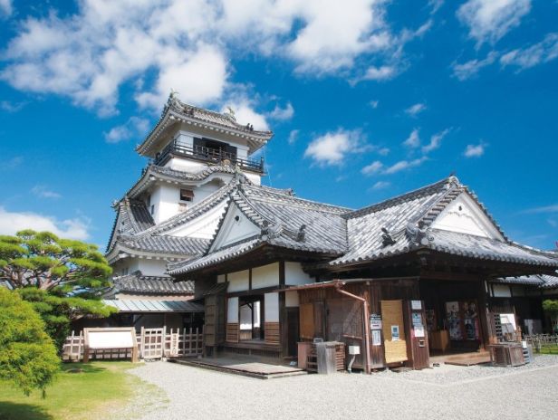 日本东京动物园一日游攻略,日本最值得去的小动物