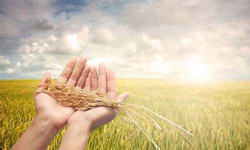 用人单位消除性别歧视,就业性别歧视被约谈