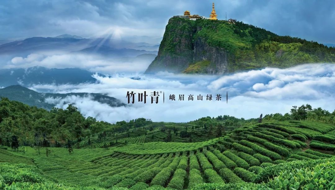 竹叶青高端中国绿茶,竹叶青峨眉高端绿茶