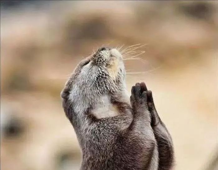 明天最高温度,明天的最高温度是多少度