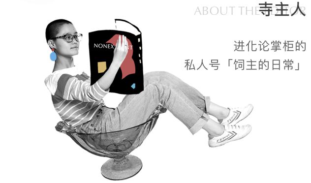 如何穿出优雅又时尚的感觉,如何把基本款衣服穿出优雅气质