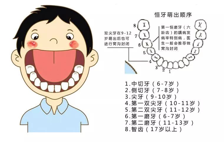 乳牙滞留成年人牙周炎,提醒家长关注幼儿口腔健康的语言