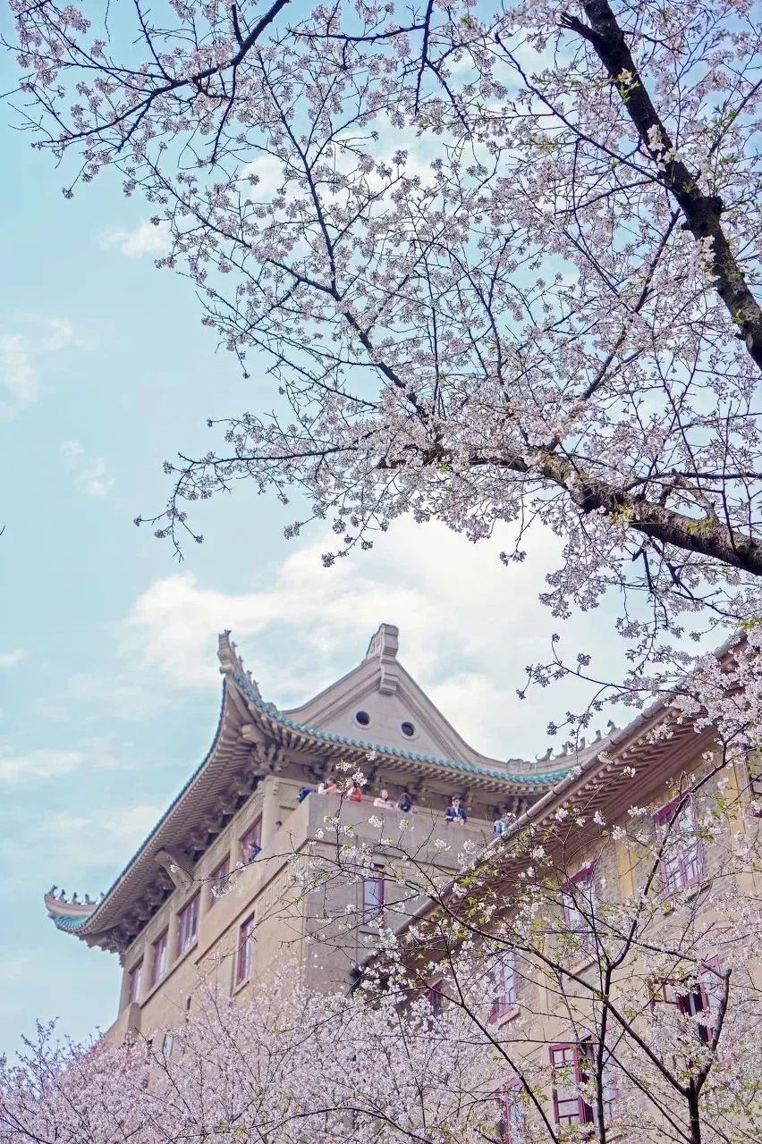 2022年3月机票便宜,三月下旬厦门到成都机票价格