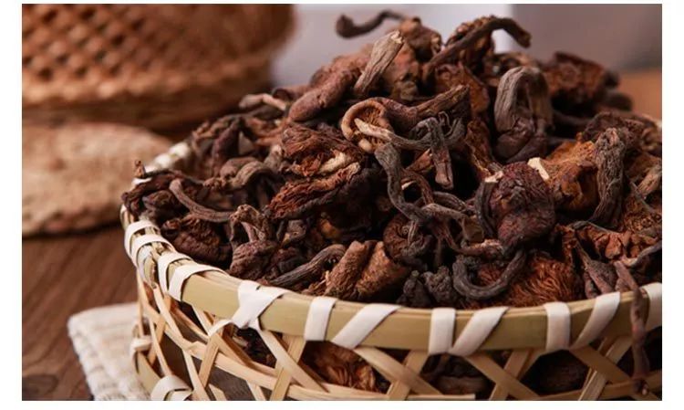 哈尔滨特产必带清单送朋友,哈尔滨旅游带走的美食