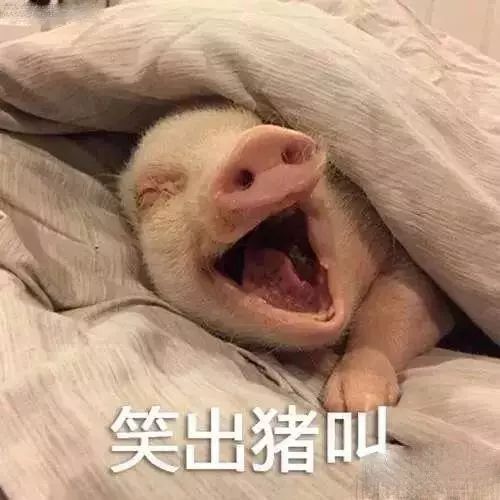 小红书养生秘笈有多沙雕？