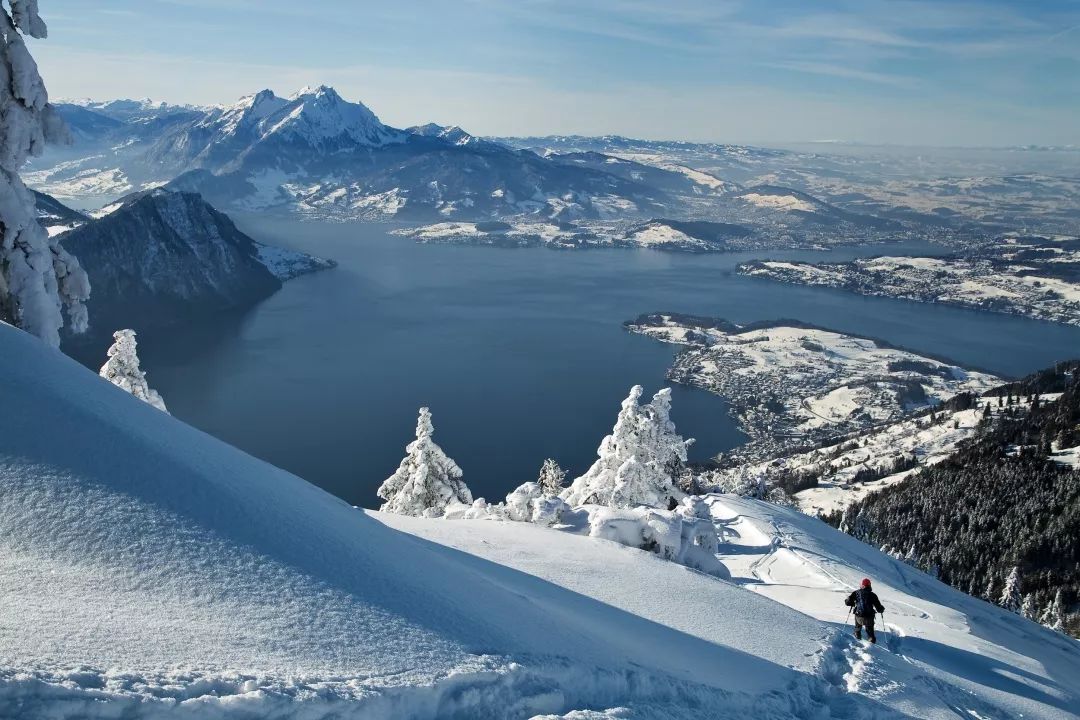 杨立新杨玏封面春运,杨立新杨玏一起拍电视剧