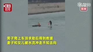 车事故原因不明能报保险吗,三者险300万撞法拉利