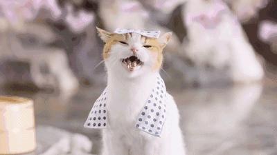 秘籍｜入春换季，生活不易，敏感肌不叹气