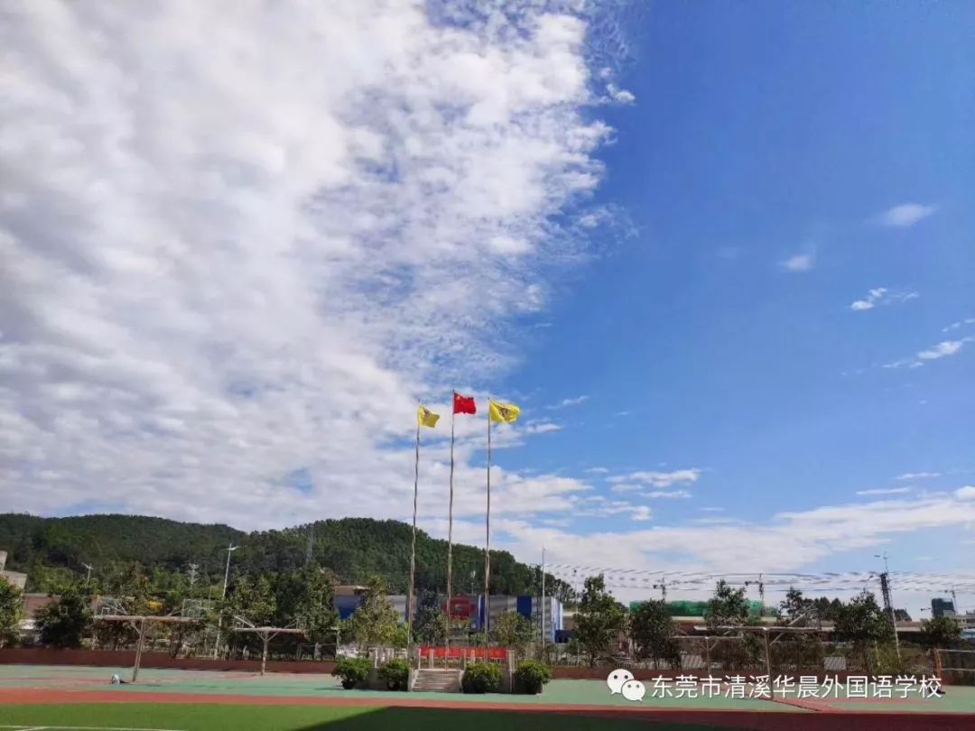 丰泰外国语学校秋季招生,虎外学校可以积分入学吗