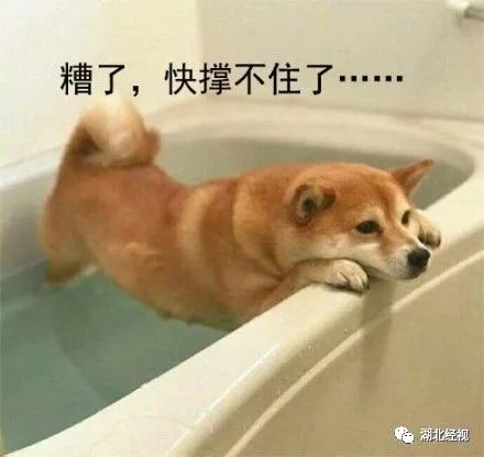 推广｜身份证42开头的关注！牙齿矫正、种植牙，这些全免费！