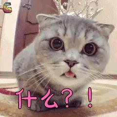 便宜哭~1元吃66串！连续11天！来神木这家店边吃边唱K！