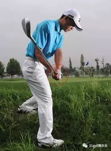 长草区教学,长草区攻略大全