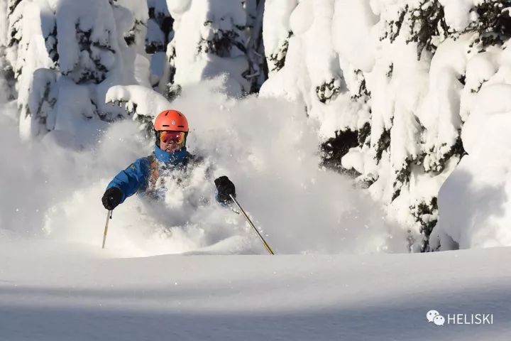 粉雪陡坡滑行技巧,可可托海粉雪滑行技巧