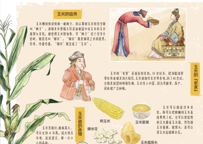 田野里的自然历史课读后感五年级,田野里的自然历史课pdf百度云