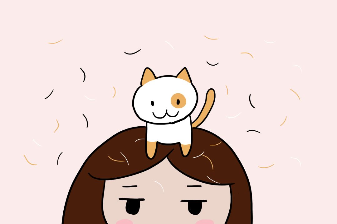 辟谣特工队,猫毛狗毛会被吸入肺吗