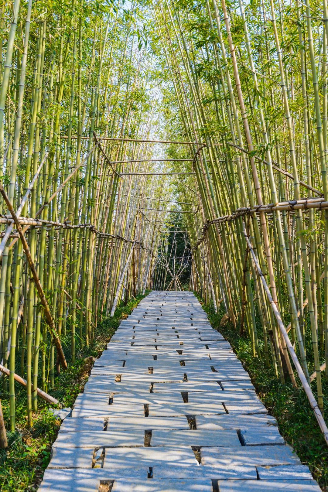 高新区体育公园规划,樱花湖体育公园效果图