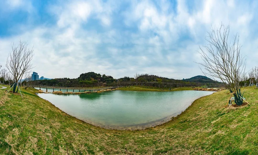 高新区体育公园规划,樱花湖体育公园效果图