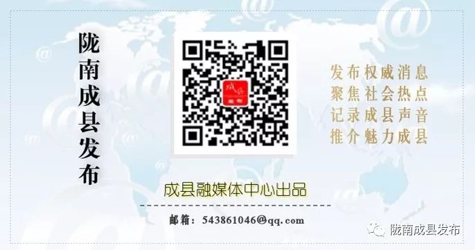 公安局平安杯篮球比赛,公安局金盾杯篮球联赛