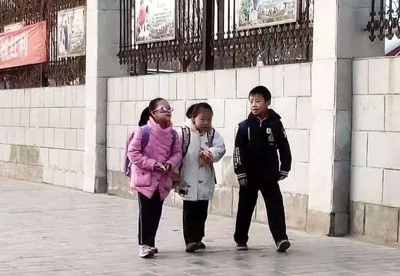 2023年嘉峪关中小学招生划分片区,嘉峪关市2024年中小学片区划分