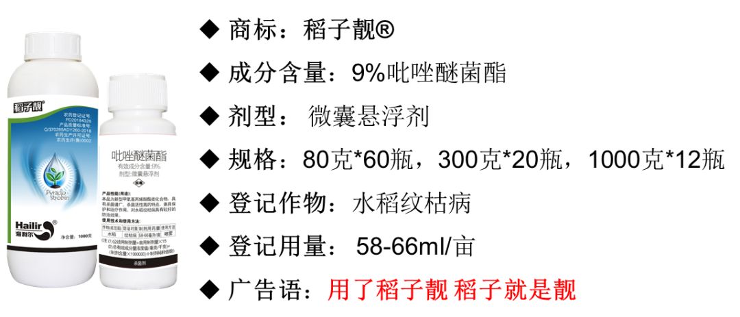 水稻新品,水稻上市新品种