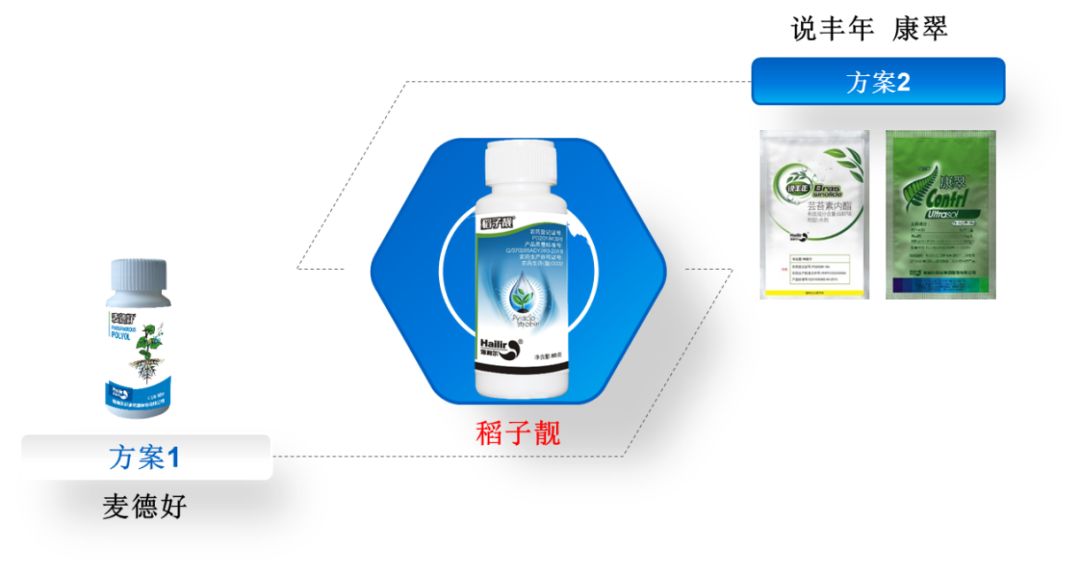 水稻新品,水稻上市新品种