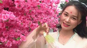 玉林桃花打卡地,玉林附近花海打卡地点推荐