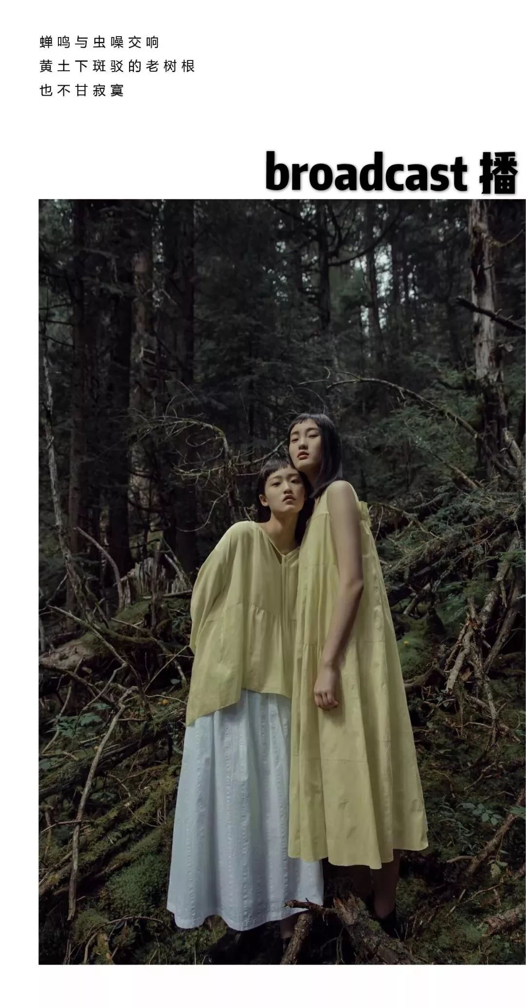 玉林桃花打卡地,玉林附近花海打卡地点推荐