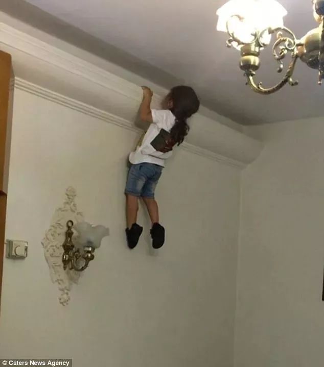 泰山腹肌小孩,五岁小孩儿8块腹肌