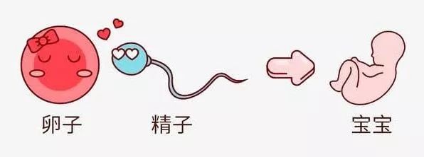 复发性流产患者就医困惑解答,复发性流产病因学专家共识