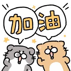 在吗？福清这项征集评选活动要开展啦，来了解一下呀......