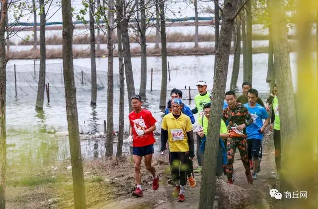 黄河故道徒步穿越,黄河故道湿地花海