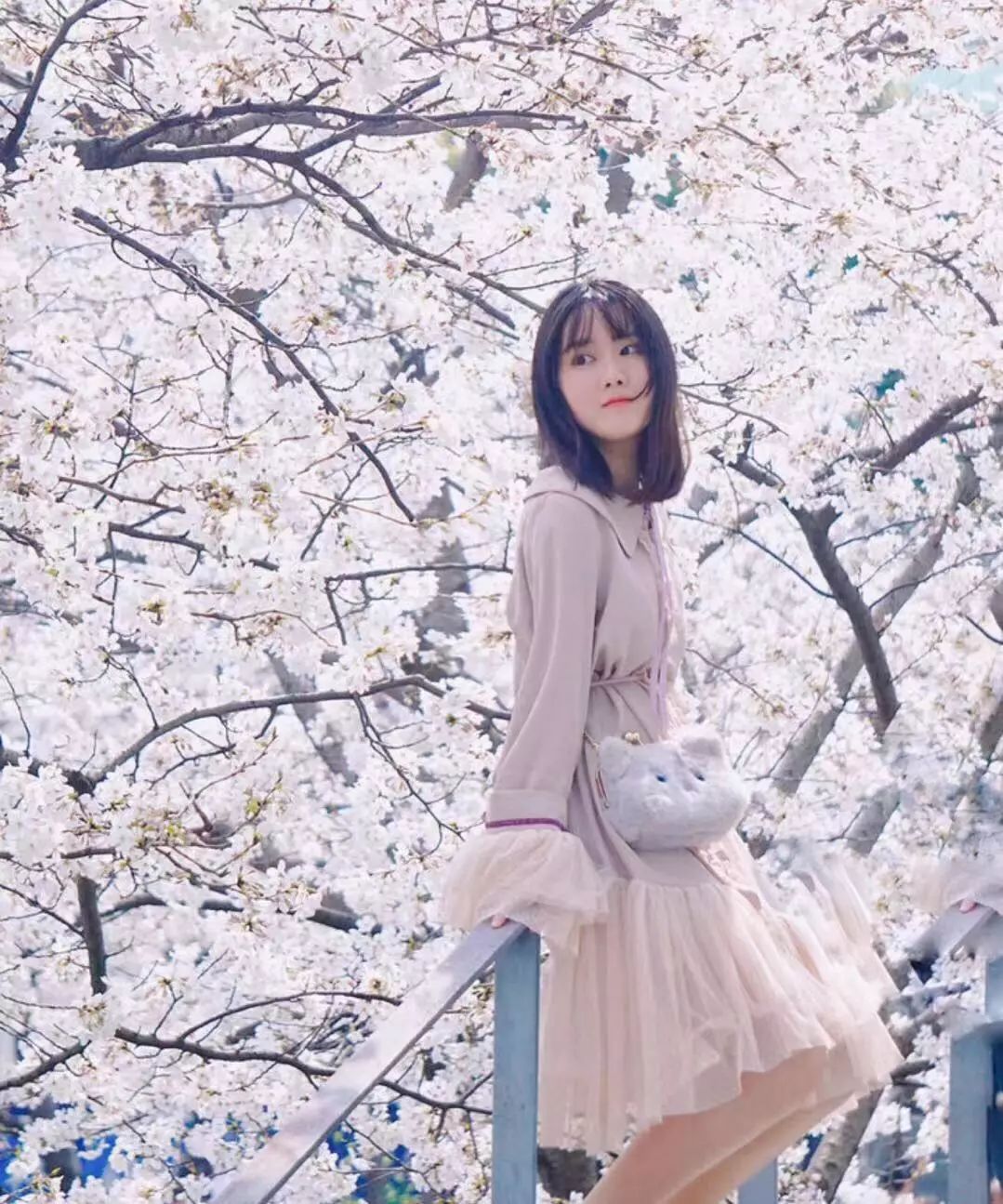 上海顾村公园赏樱花图片,全季顾村公园