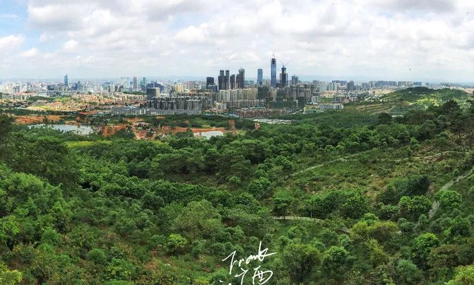 中国杯为何在南宁举办,中国杯南宁2023