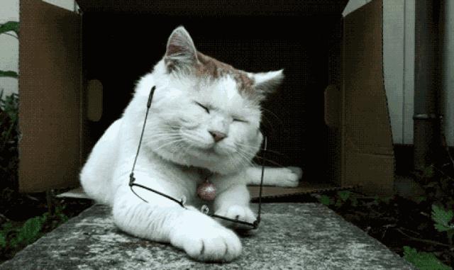 20秒缓解眼部劳累视频,看20秒视频能缓解眼劳累你信吗