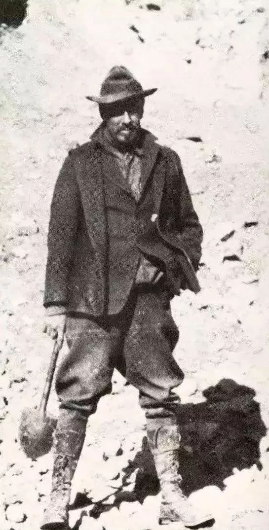 比斯坦因更残酷的*物文**盗贼-华尔纳