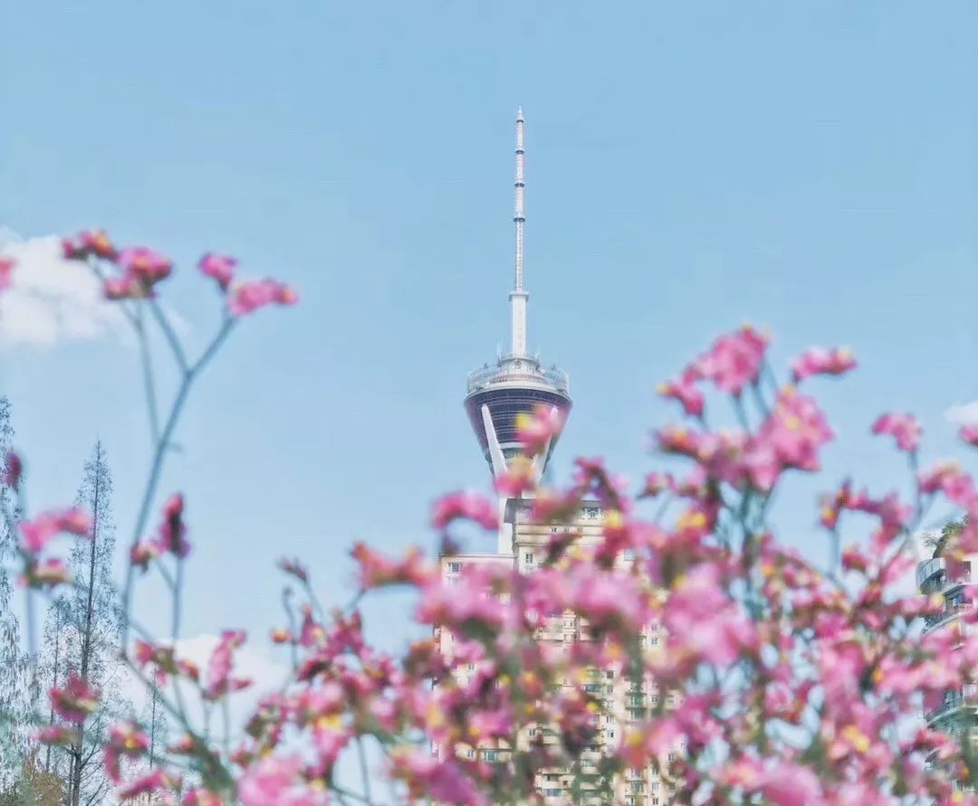 成都建世界最大足球场,超智能足球场