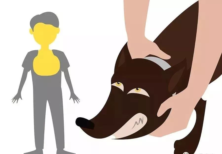 在外遇到恶犬攻击怎么办,如果被恶犬攻击怎么办